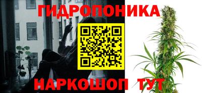 ПСИЛОЦИБИНОВЫЕ ГРИБЫ Мирный