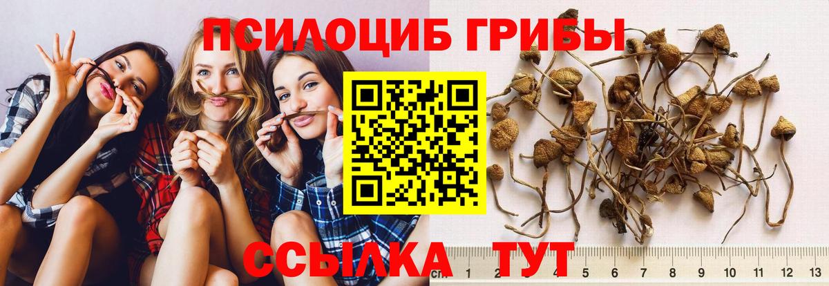 наркотики  Вход с VPN  Кизляр  Галлюциногенные грибы Cubensis  Галлюциногенные грибы MAGIC MUSHROOMS 